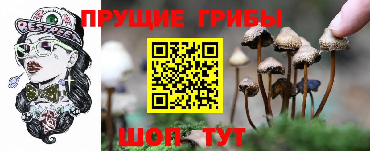 Псилоцибиновые грибы прущие грибы  Вход с VPN  Кинель  Галлюциногенные грибы прущие грибы 