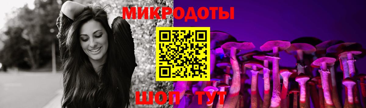 Галлюциногенные грибы Psilocybe Кинель
